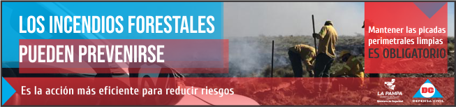 bannergobiernoincendios2020-3 bannergobiernoincendios2020-3
