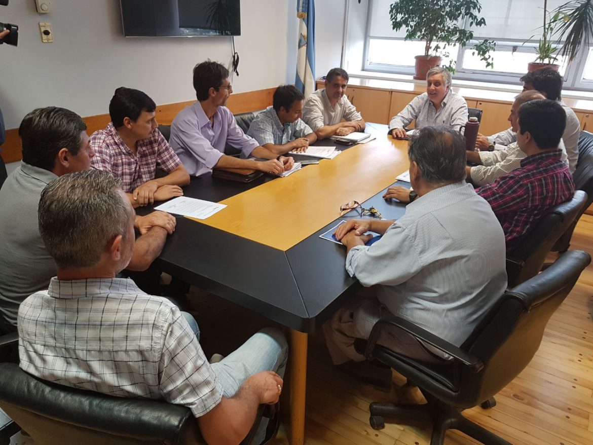 Luz: buscan reducir tarifas a industrias y comercios para atemperar el tarifazo