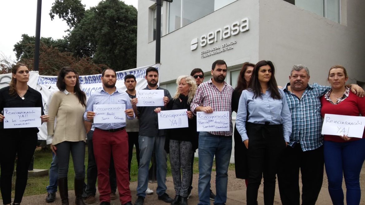 Despedidos de Senasa: «Estamos muertos en vida»