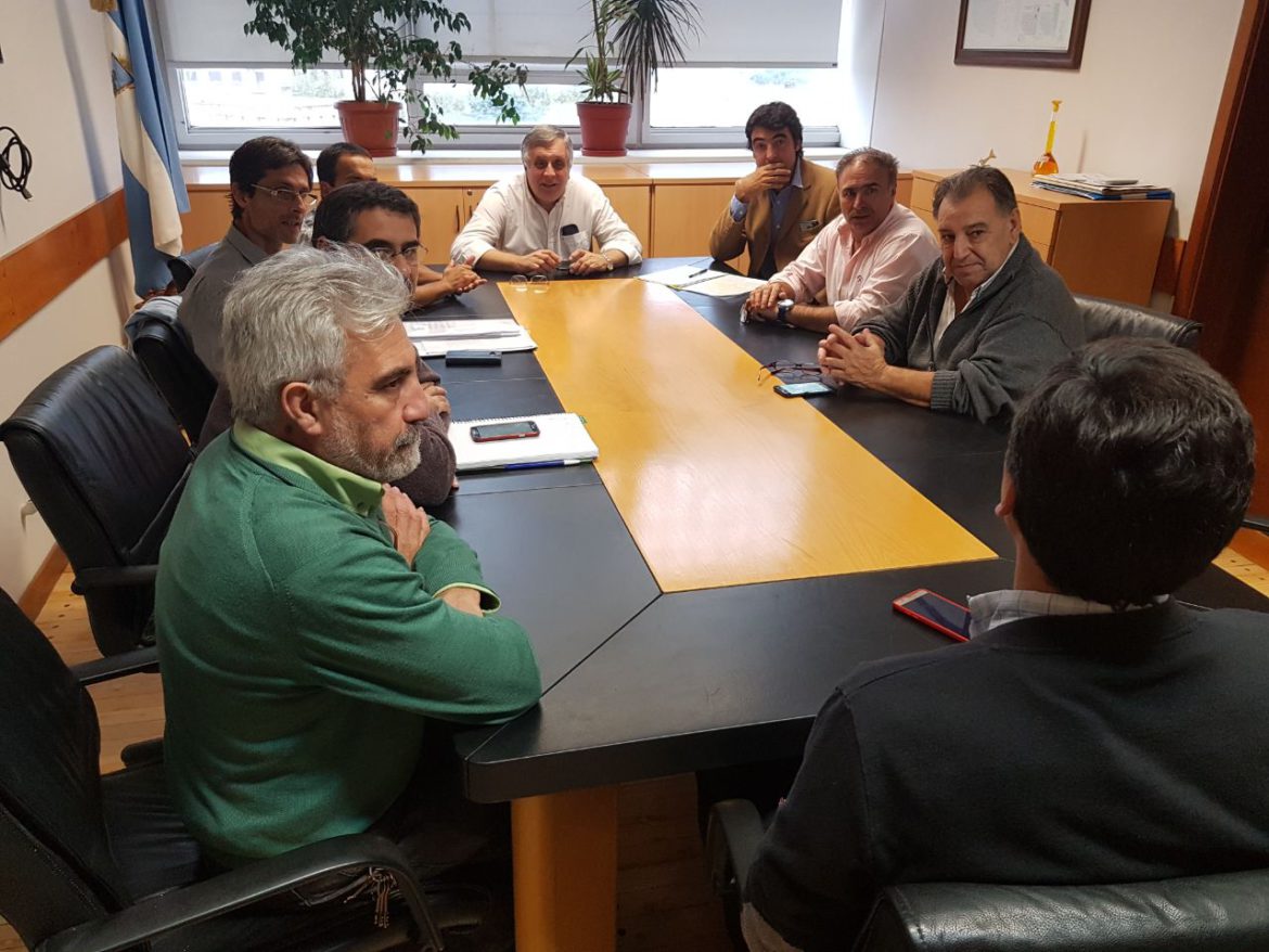 Luz: «Hay predisposición para ayudar a la industria»