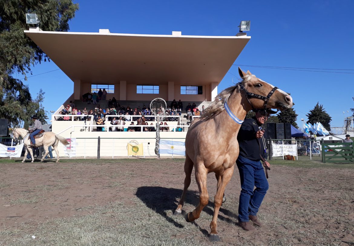Este fin de semana, una nueva Expo Caballo en Santa Rosa