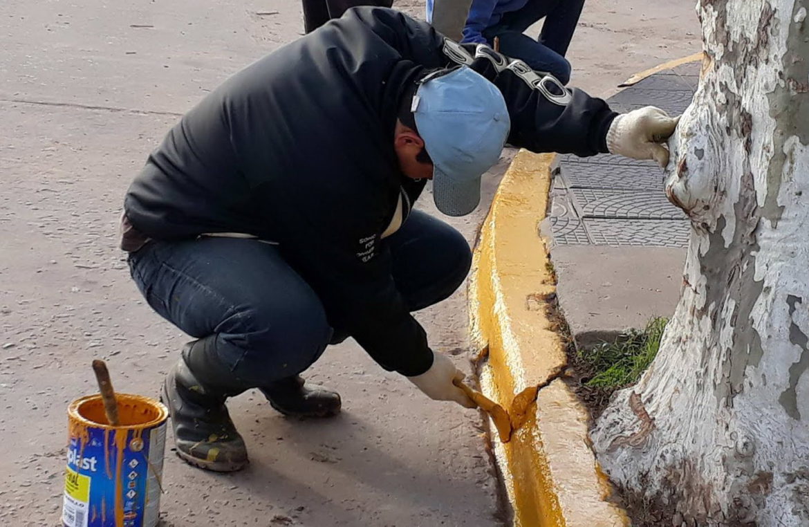 Santa Rosa: 80 infractores de tránsito pagaron con tareas comunitarias y hay 35 en espera