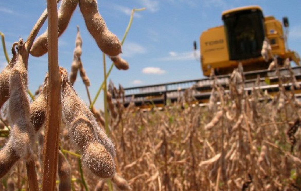 Para intentar contener el dólar, el Gobierno bajó a cero las retenciones al agro hasta el 31 de octubre