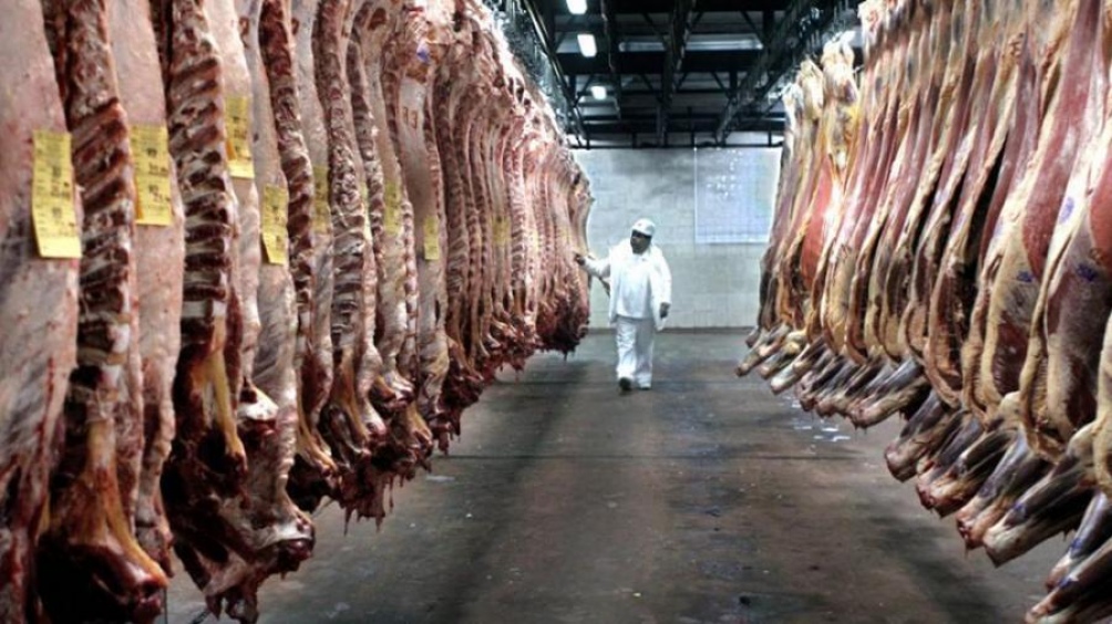 Exportaciones de carne: NOS rechazó la suspensión y calificó la medida como “absurda”