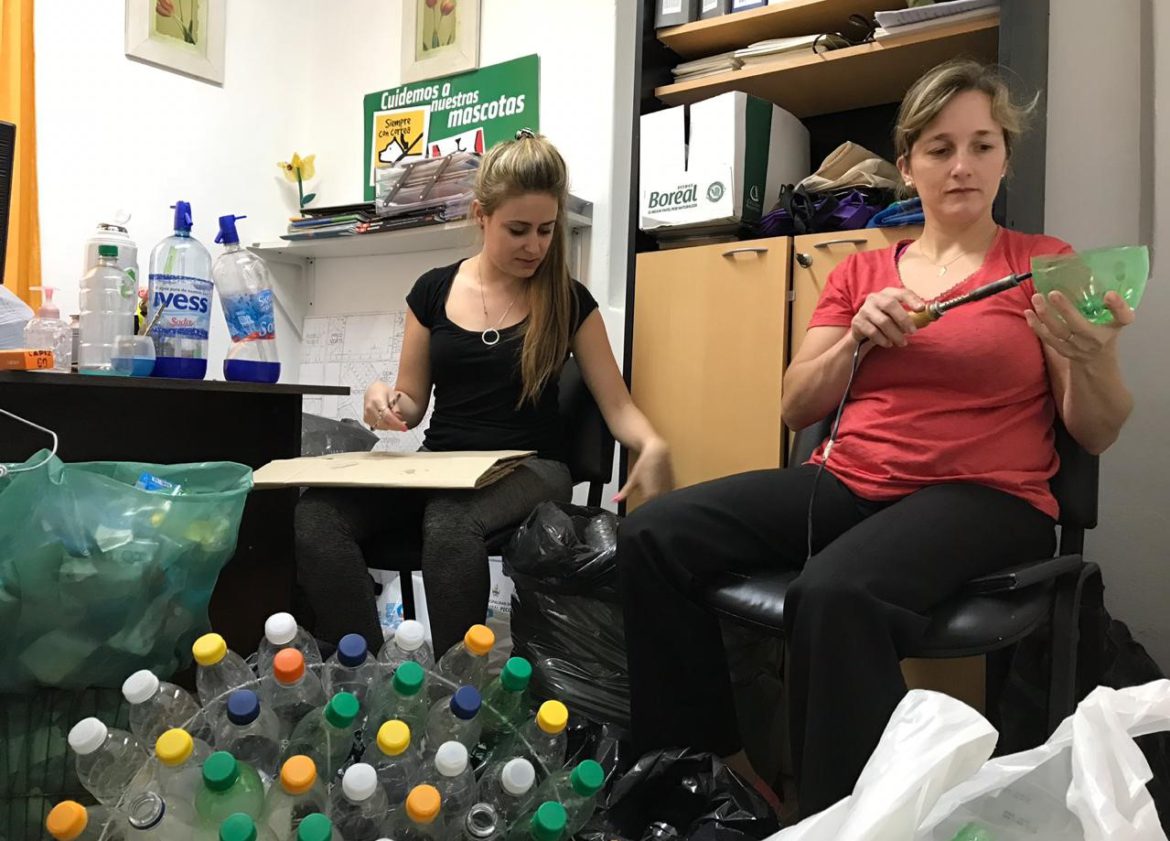 En Pico juntan botellas de plástico para hacer un Árbol de Navidad