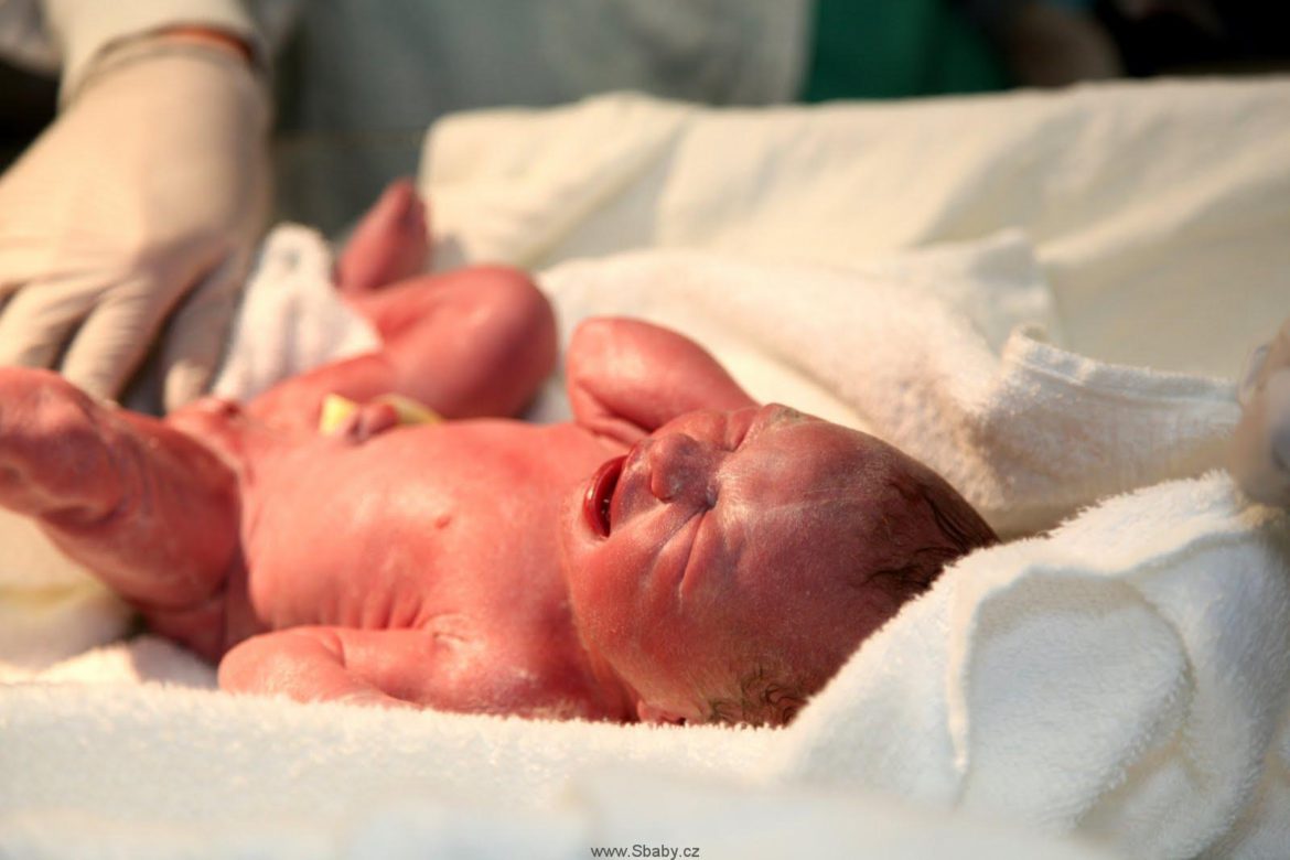 La Pampa: en una década los nacimientos bajaron de 5500 a 4000 por año