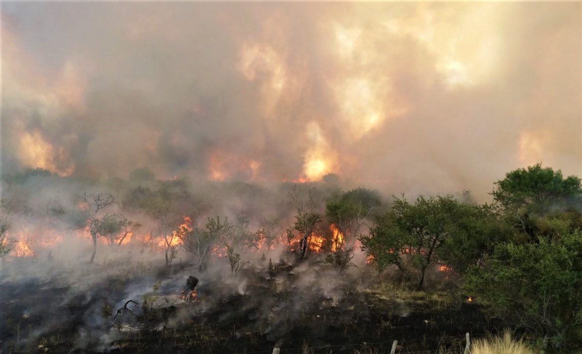 Cuarto día del incendio de monte en la zona de La Adela