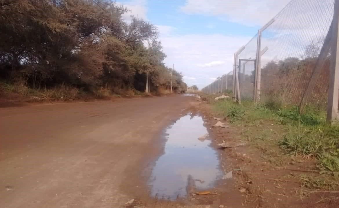 Vecinos del Portal del Sur reclaman obras de salubridad