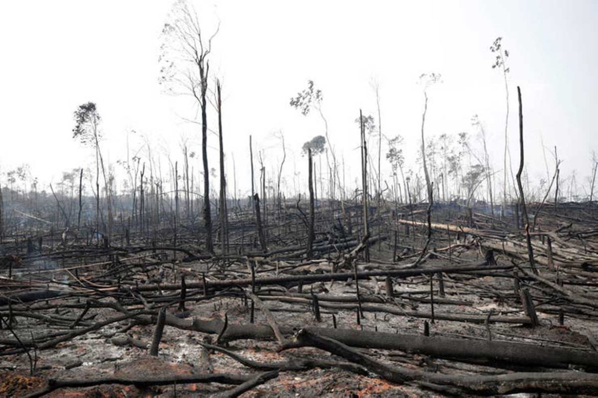 Amazonas: 25 bomberos y 12 brigadistas pampeanos se preparan para combatir los incendios