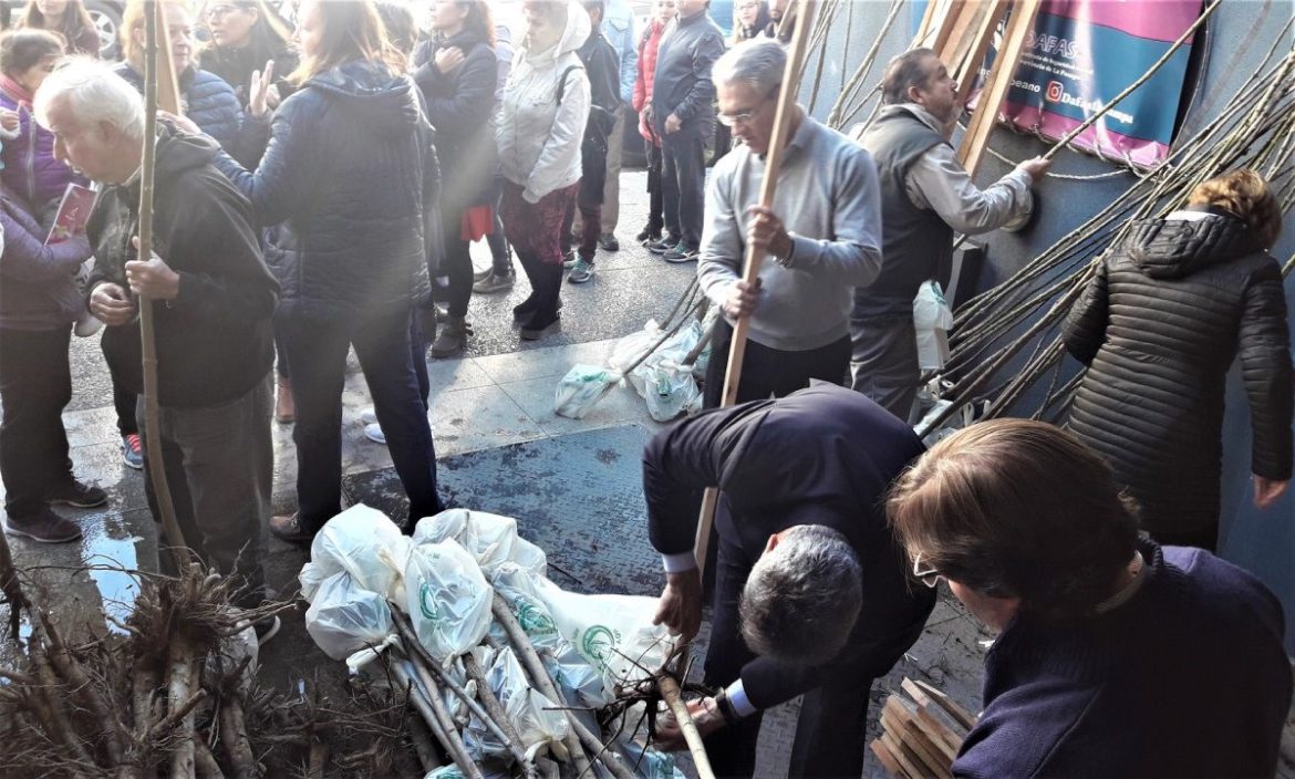 Una multitud en la entrega gratuita de caldenes, jacarandás y chañares