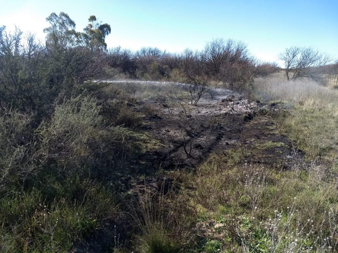 Pirómanos: en la ruta 152 iniciaron dos incendios rurales