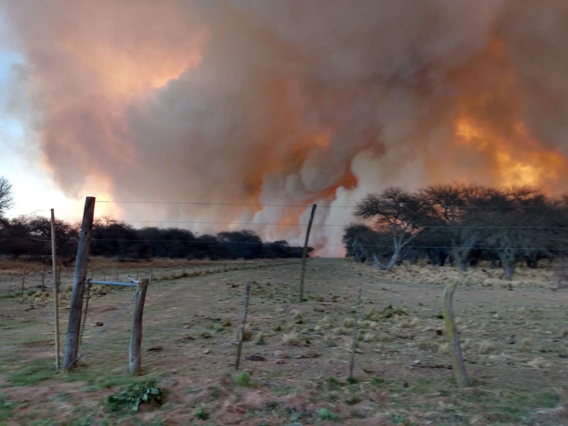 Segundo día del incendio que arrasa con montes de caldén en Quehué