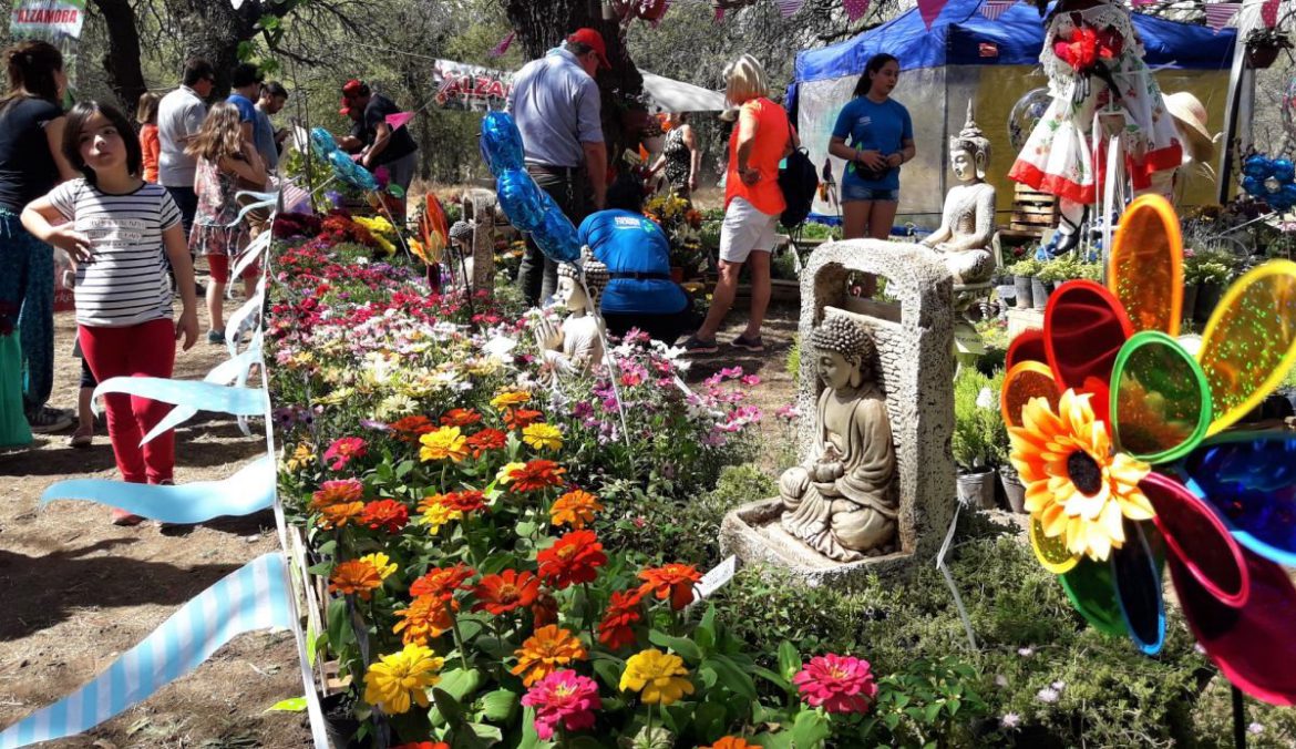 Más de 70 expositores participarán de la Expo Vivero 2022