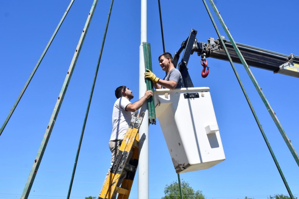 Pico: ya comenzaron a construir el Eco Árbol de Navidad