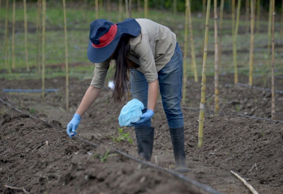 Agroquímicos: Colectivo Sanitario dice que las zonas de exclusión servirán para fomentar la agroecología