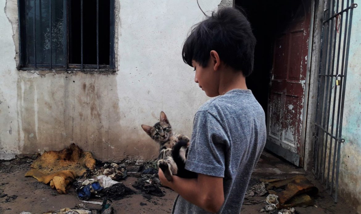 Se quemó la habitación de una casa y murieron tres gatitos