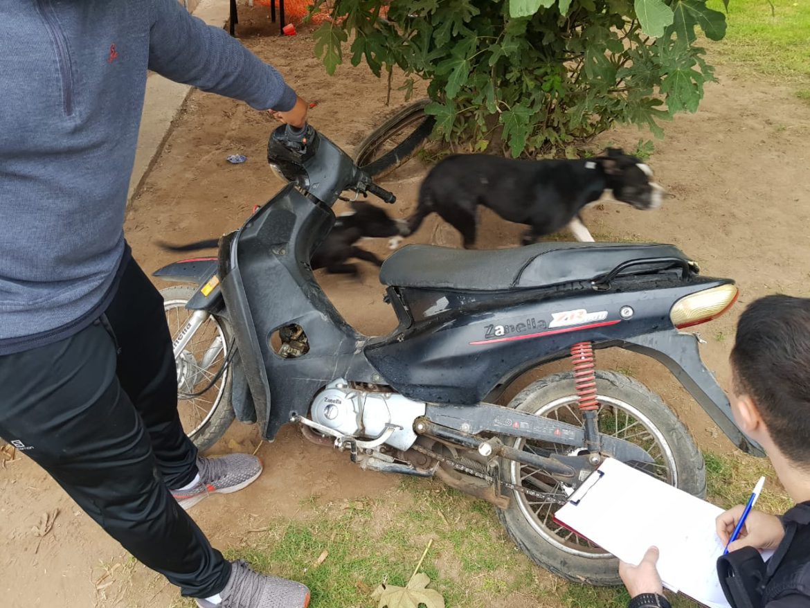 Fueron por una moto y encontraron marihuana y un arma