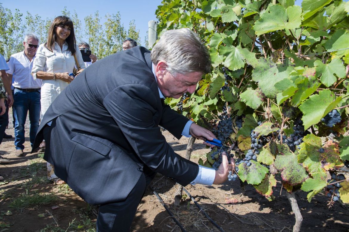 La Provincia construirá una bodega de vinos en Casa de Piedra