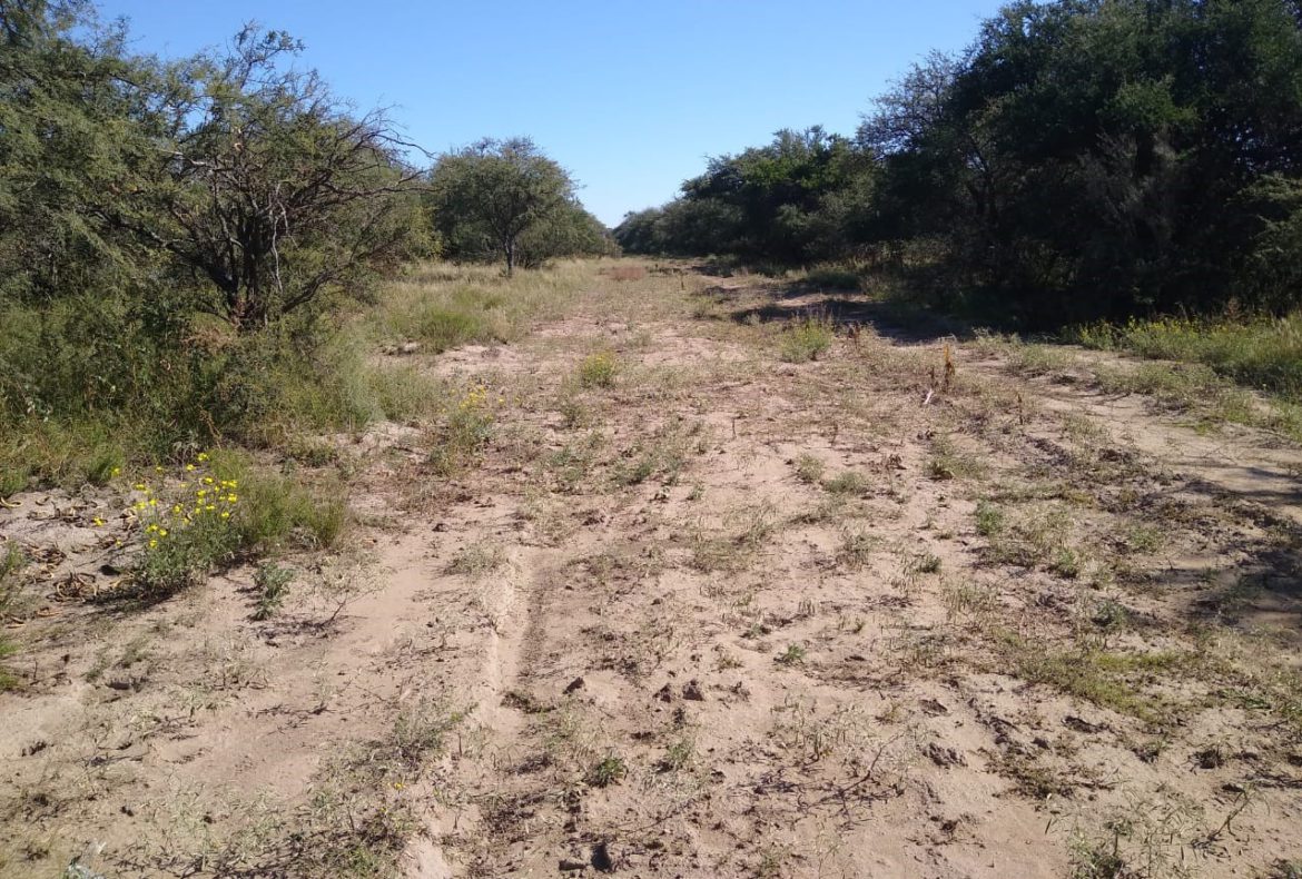 Doblas: prisión en suspenso al cazador que baleó a un peón al confundirlo con un jabalí