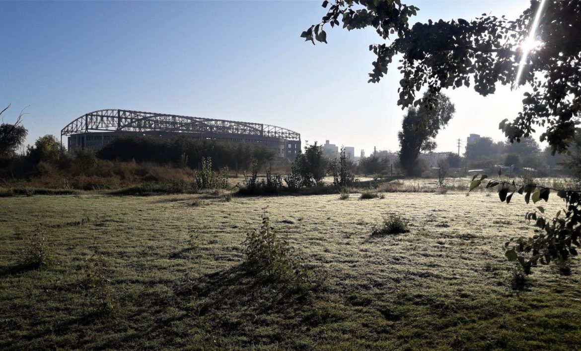 Este martes, la primera helada del año