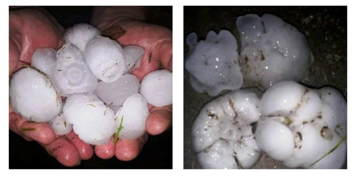 El granizo destruyó cultivos en Winifreda, Lonquimay y Relmo