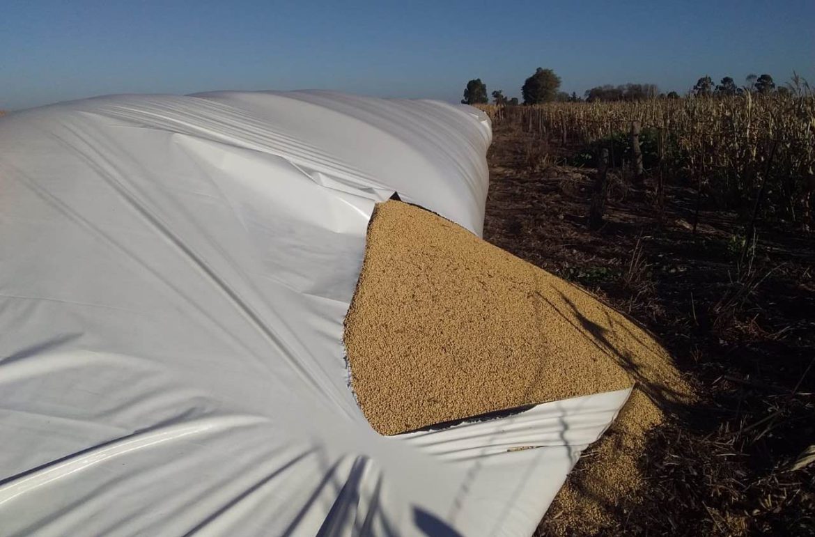 Rompieron un silobolsa en un campo de Uriburu