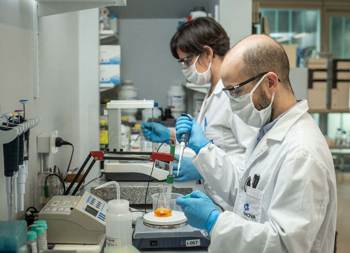 Con el suero de caballo, Argentina tendría su primera estrategia propia contra el coronavirus