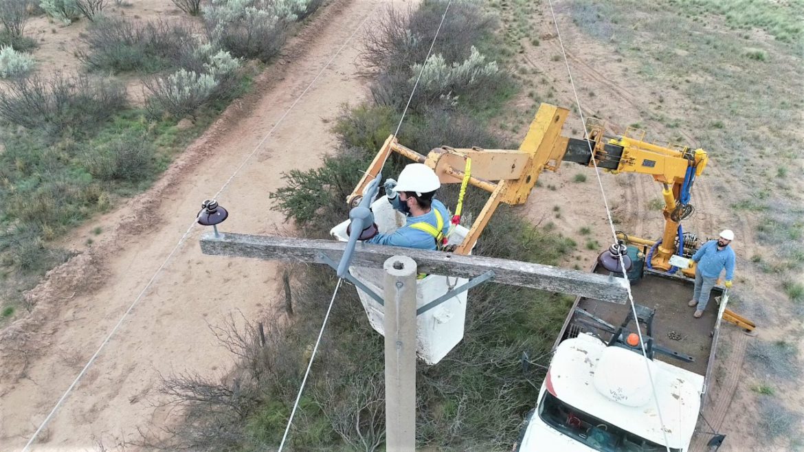 Continúan modificando redes eléctricas para evitar la electrocución del águila coronada