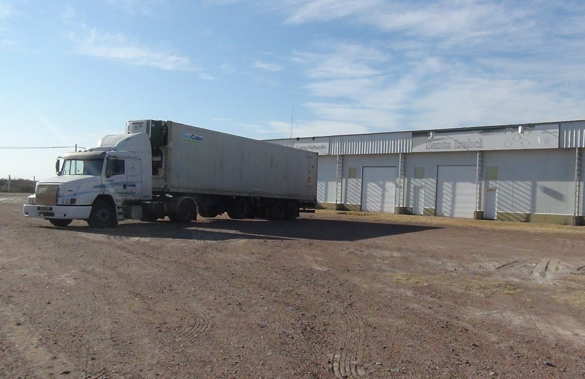 Desde Santa Isabel enviaron 20 mil kilos de carne de cabra a Bahamas