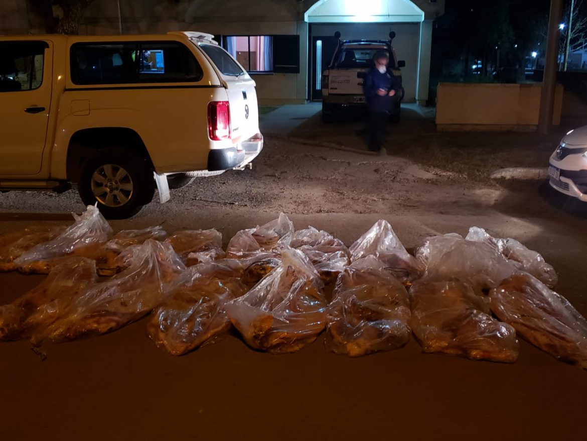 Decomisaron 16 costillares y 18 medias reses de vacunos por no cumplir con las medidas sanitarias
