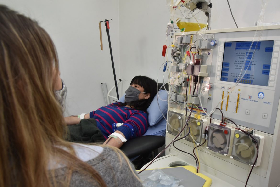 Covid: 8 contagiados ya recibieron plasma producido en La Pampa
