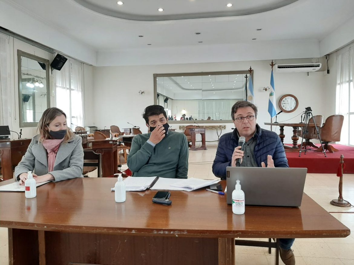 Echeveste fue al concejo a explicar el proyecto de moratoria