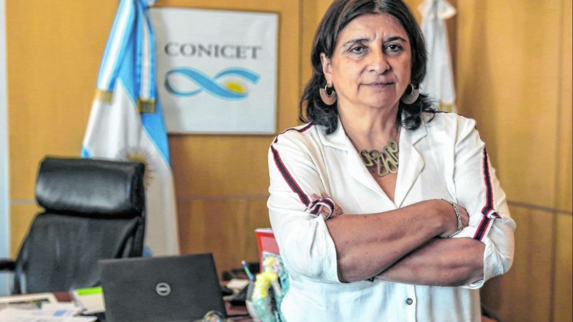 La presidenta del Conicet en Radio Textual: “Los sueros servirán para tratar y prevenir el covid”