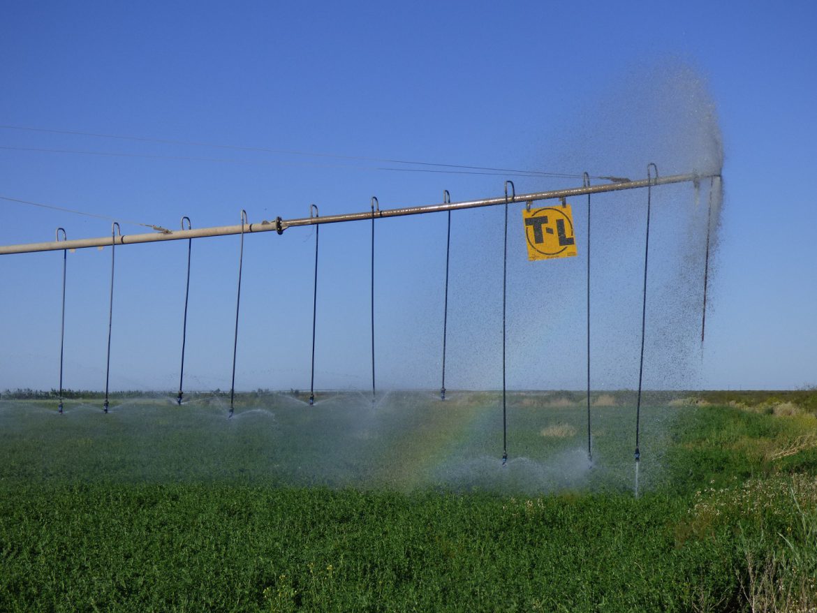 Lanzan una línea de créditos de hasta $500 millones para productores de áreas bajo riego