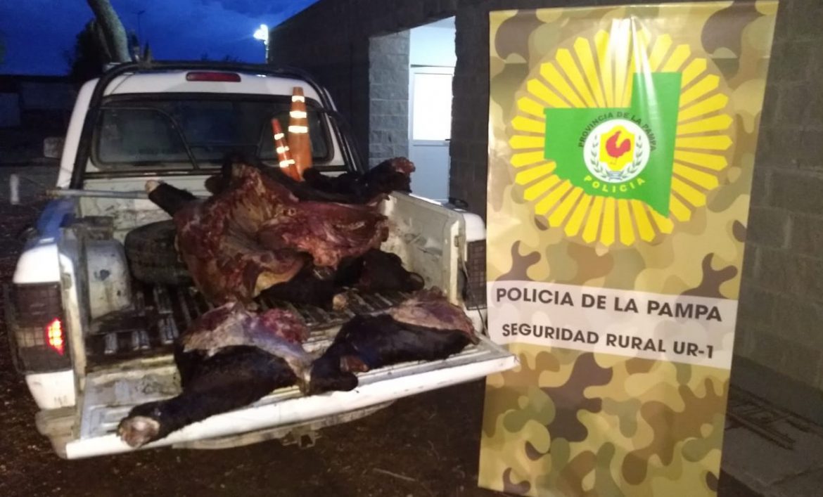 Mató dos vacunos y fue interceptado cuando los trasladaba en una moto