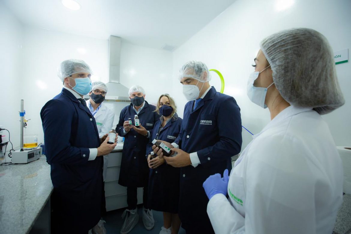 Comenzó en Jujuy la producción de aceite de cannabis