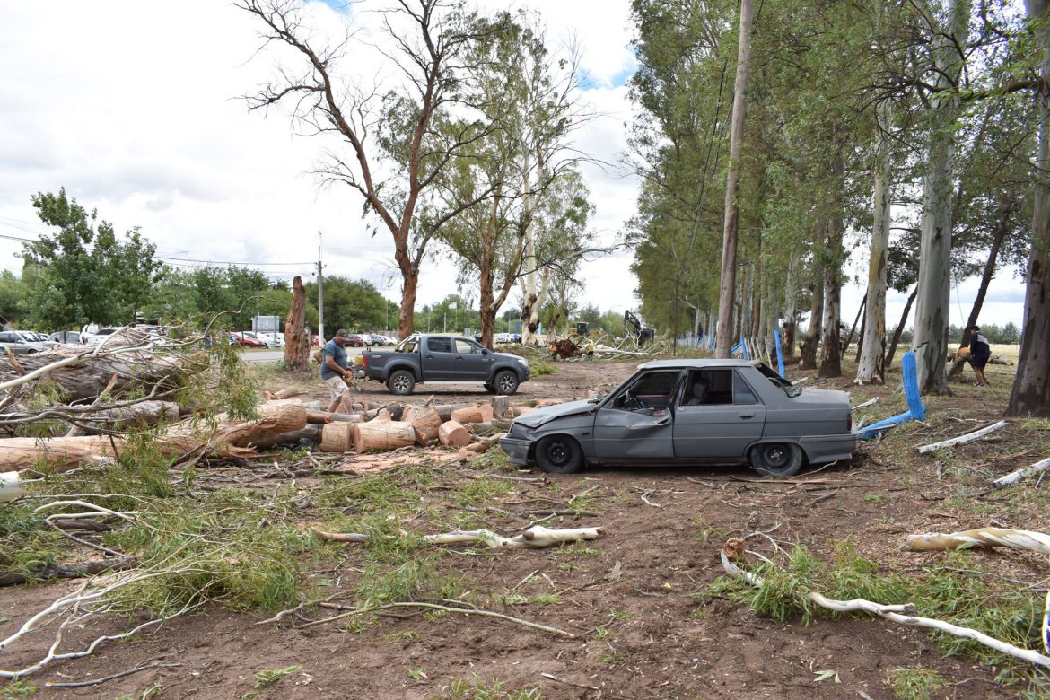 Intenso trabajo en Toay luego de los destrozos de la tormenta de viento y tierra