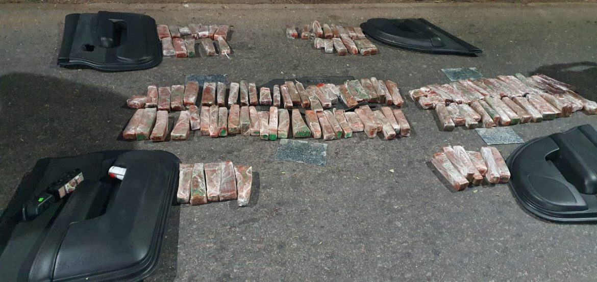 Dos perros hallaron 46,5 kilos de marihuana en el PC de Catriló