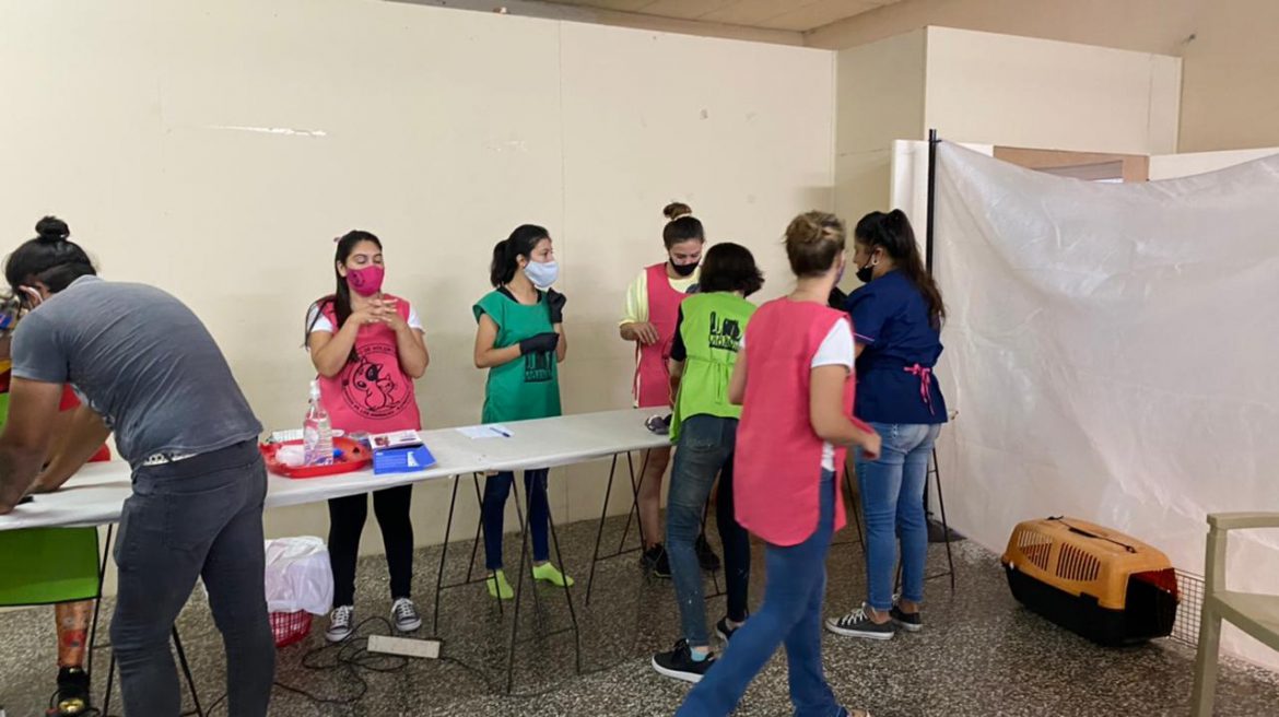 Jornada de castración y vacunación en Castex