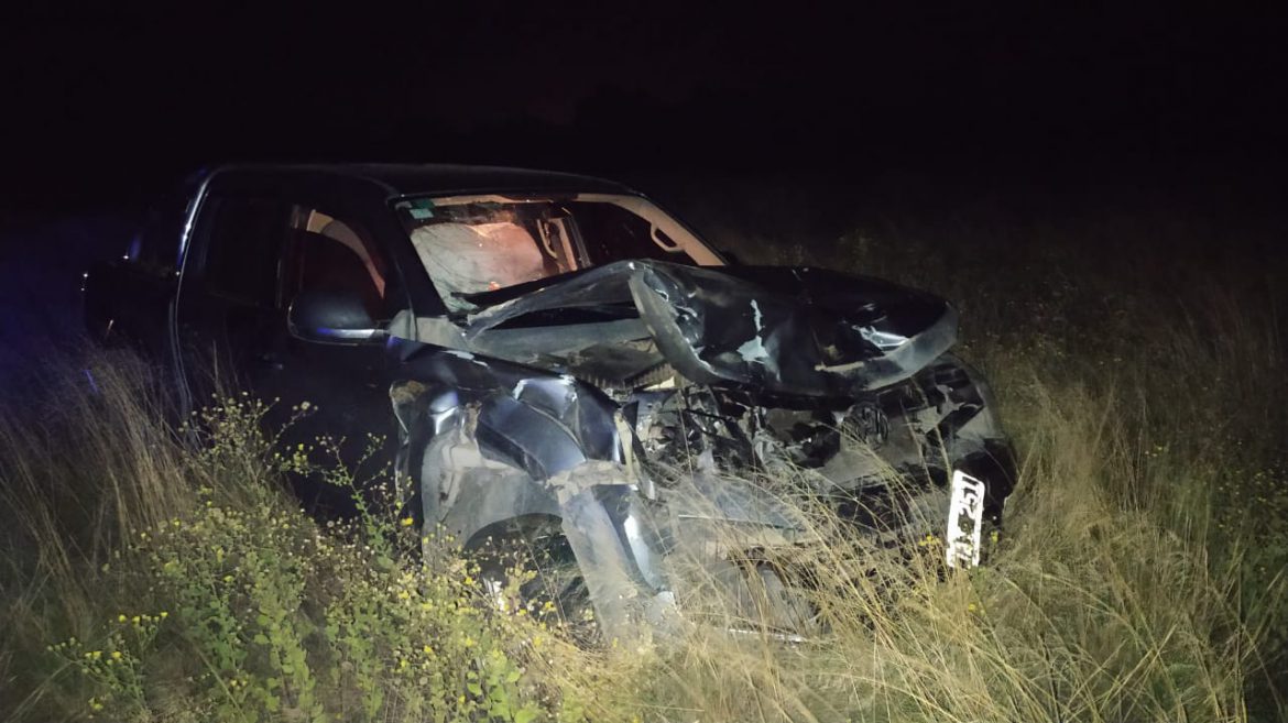 Chocaron un ciervo en la ruta 10: dos personas heridas