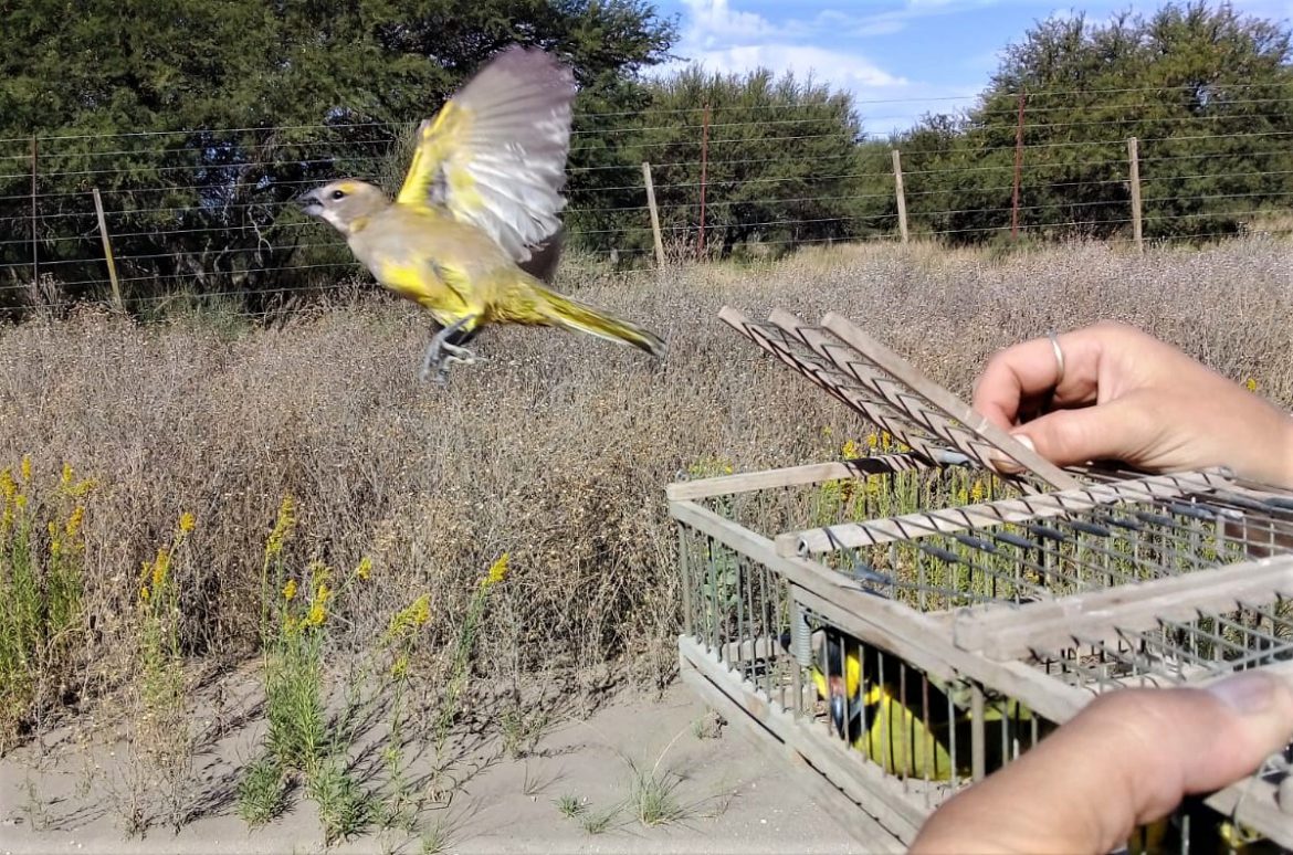 El Museo de Historia Natural revela secretos del mundo animal
