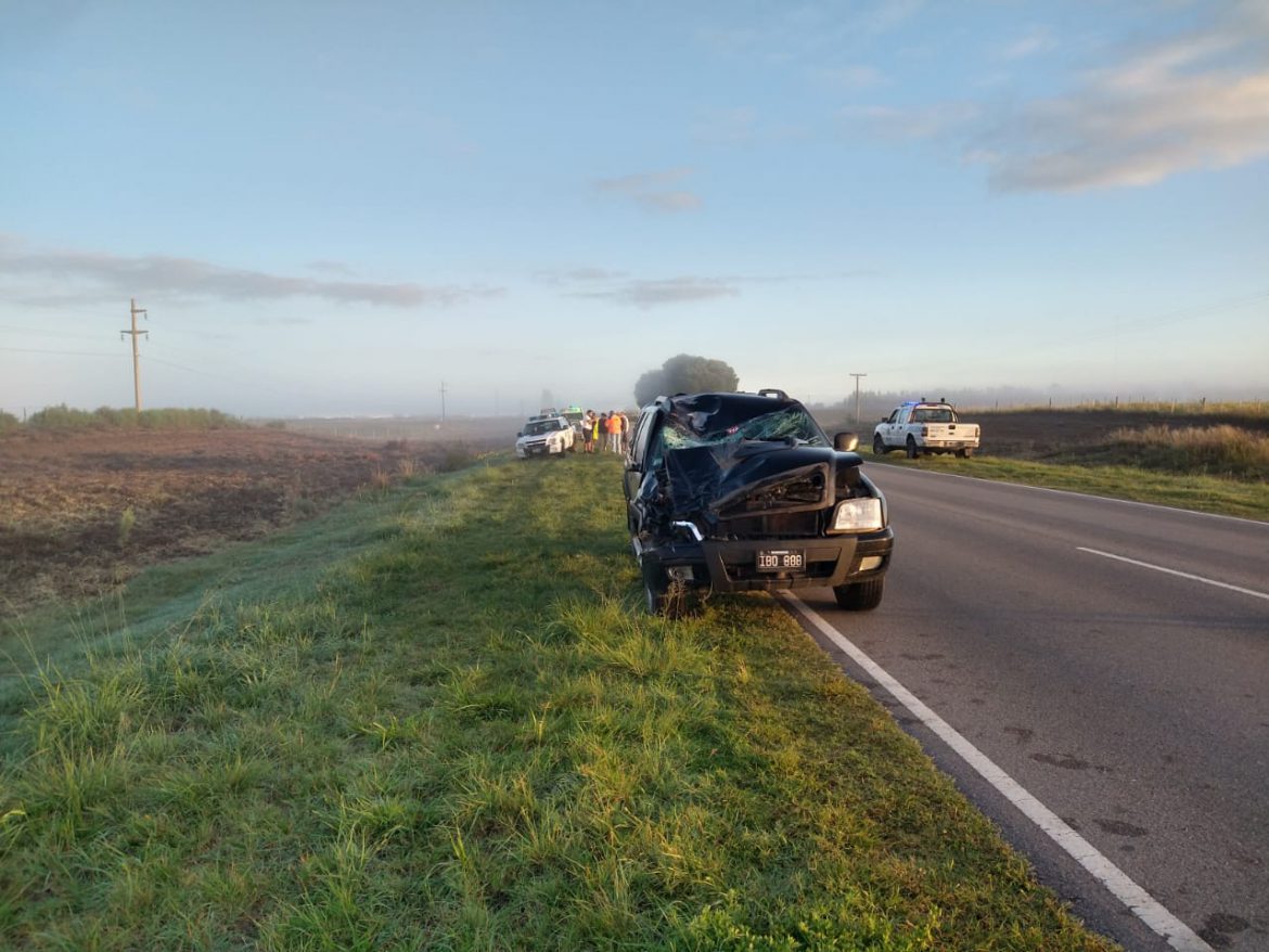 Chocaron un caballo en la ruta 1: una persona herida