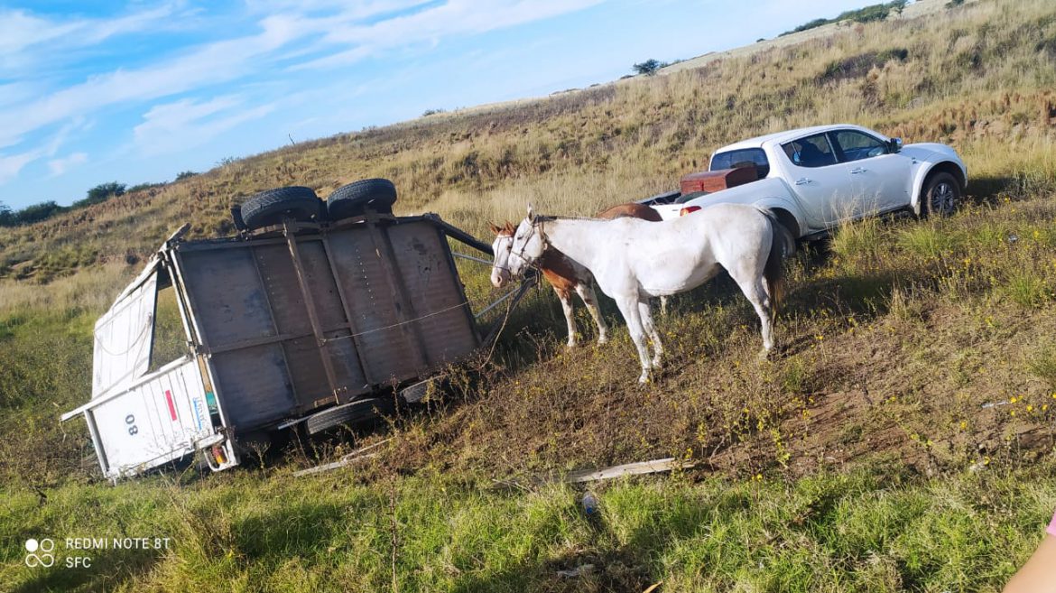 En la ruta 35 volcó un carro que transportaba caballos