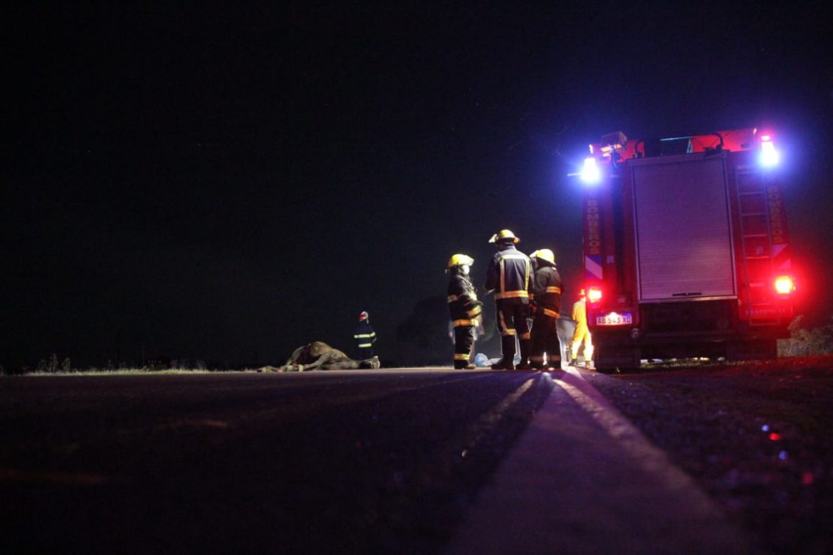 Murió un hombre de 29 años en un choque de un auto contra un caballo en la ruta 1