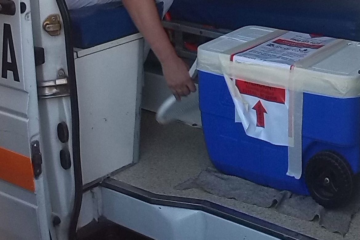 Cuatro aviones para una donación de órganos de un joven que falleció en Santa Rosa