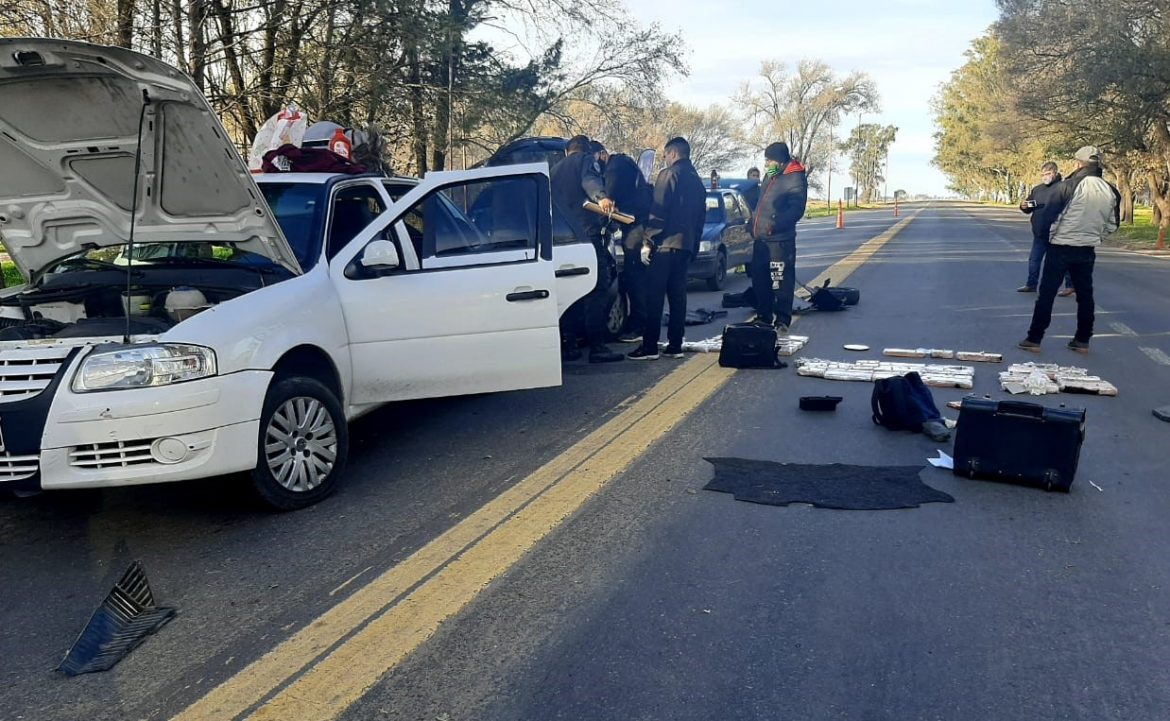 Con la ayuda de la perra Pampa, secuestran 50 kilos de marihuana y 2 de cocaína en Catriló