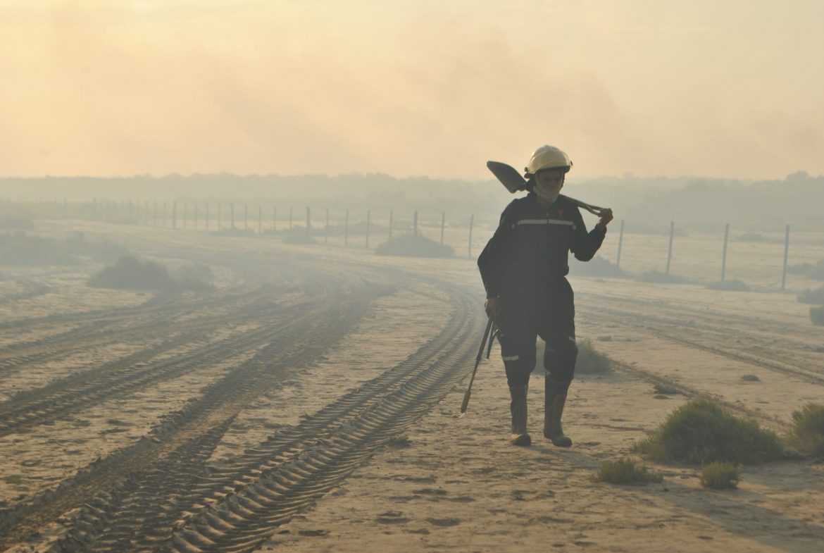 $22 millones: multan a productor de La Pampa por provocar un incendio que afectó bosques y animales