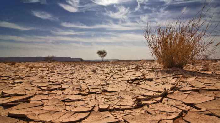 cambioclimatico