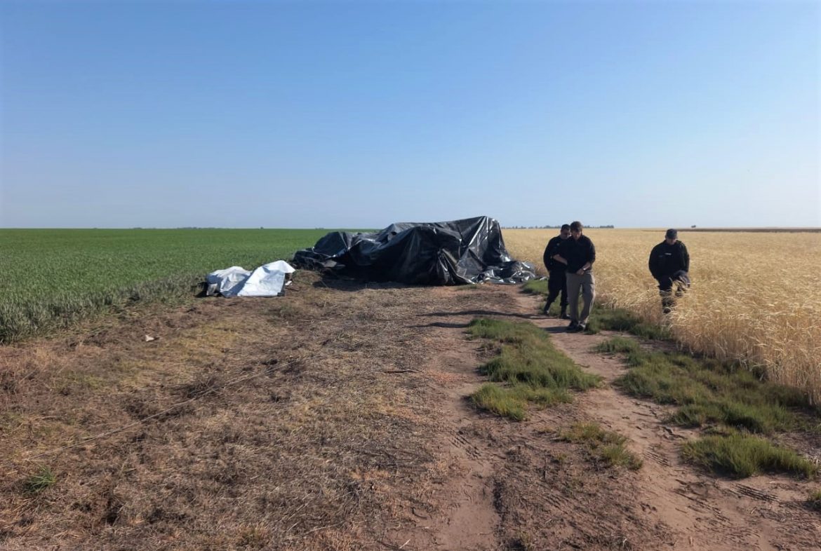 Intendente Alvear: cayó un avión que fumigaba y el piloto se salvó