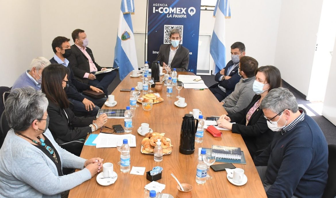 La agencia I-Comex analiza 45 proyectos de inversión